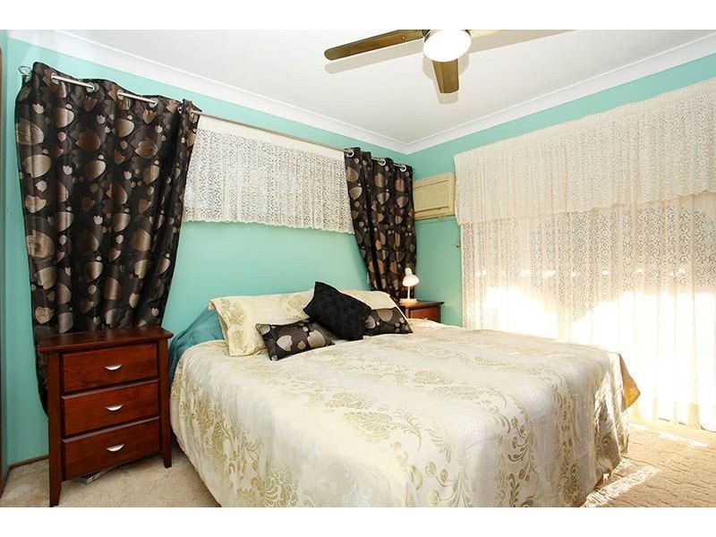 27 stringybark, Tamborine QLD 4270