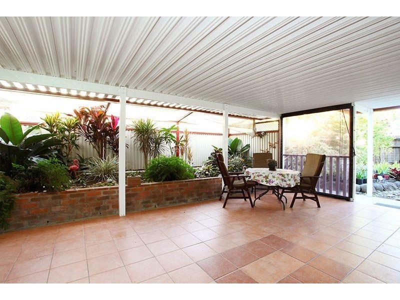 27 stringybark, Tamborine QLD 4270