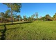 27 stringybark, Tamborine QLD 4270