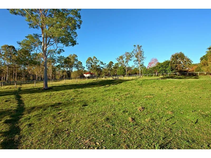 27 stringybark, Tamborine QLD 4270