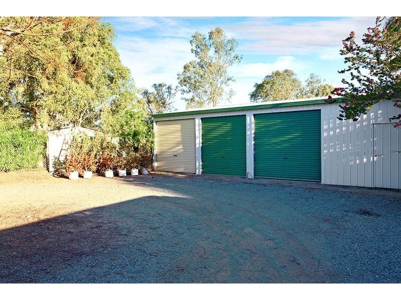 27 stringybark, Tamborine QLD 4270