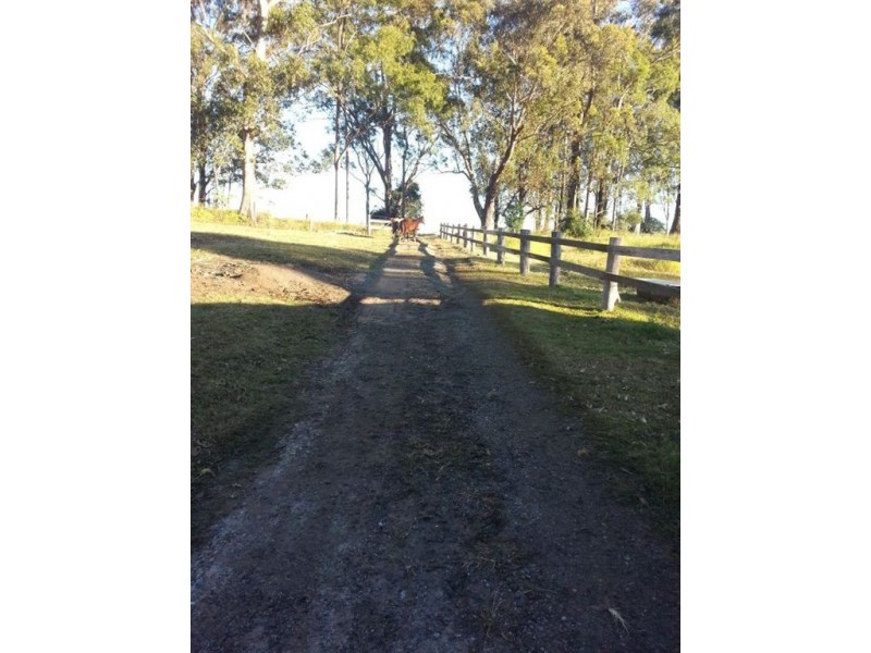 135 Trewin Road, Mundoolun QLD 4285