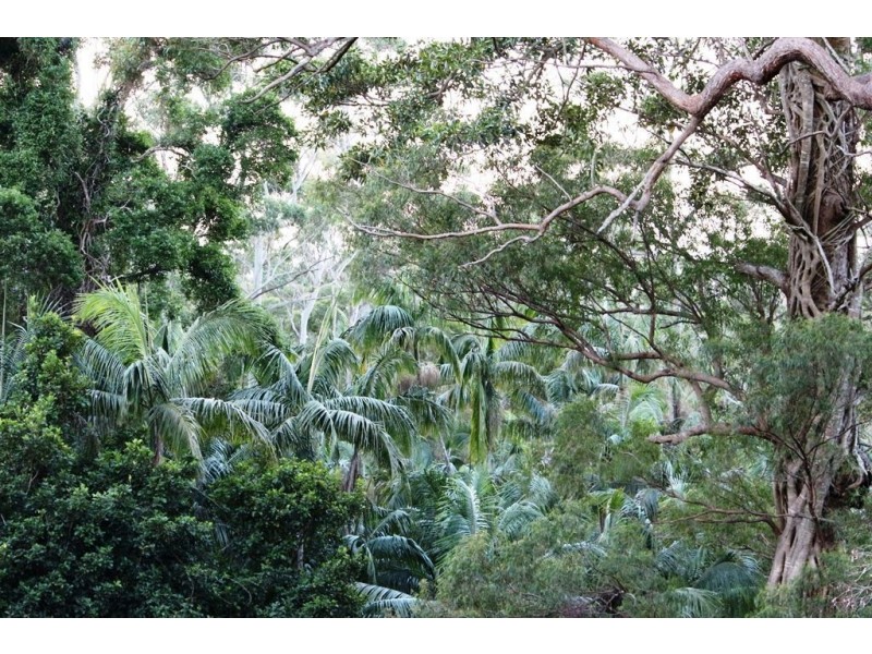 103 Contour Road, Eagle Heights QLD 4271