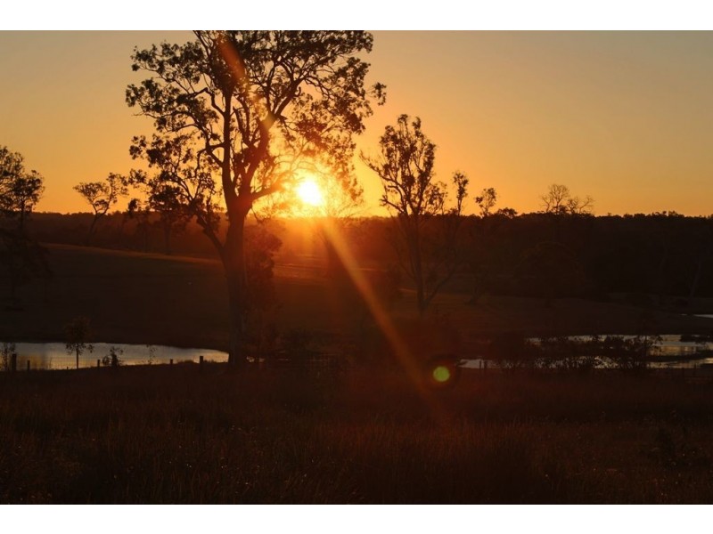 49-53 Old Coach Road, Tamborine QLD 4270