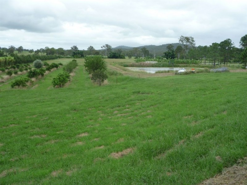 Tamborine QLD 4270