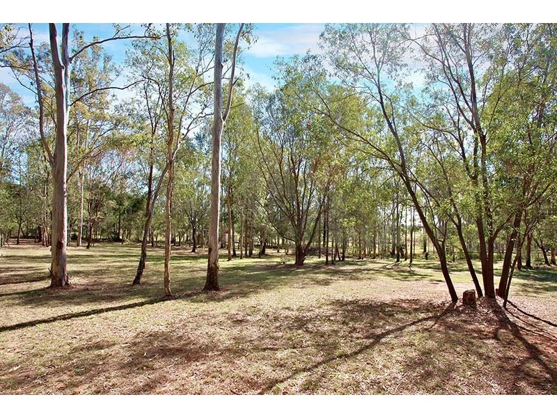 54 RACECOURSE PLACE, Tamborine QLD 4270