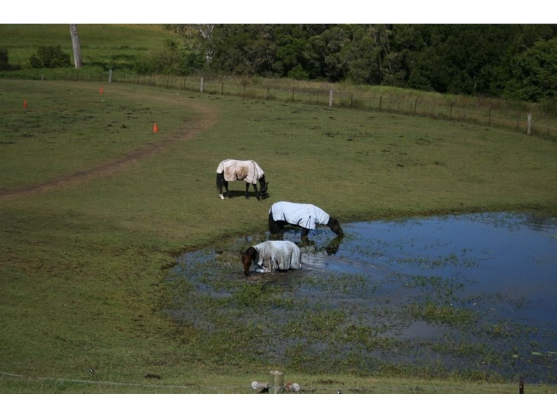112 Munstervale road, Tamborine QLD 4270