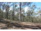 Lot 4/133 Williamson Rd, Tamborine QLD 4270