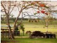 57-73 Sundown Court, Tamborine QLD 4270