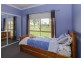 56 Old Coach Road, Tamborine QLD 4270