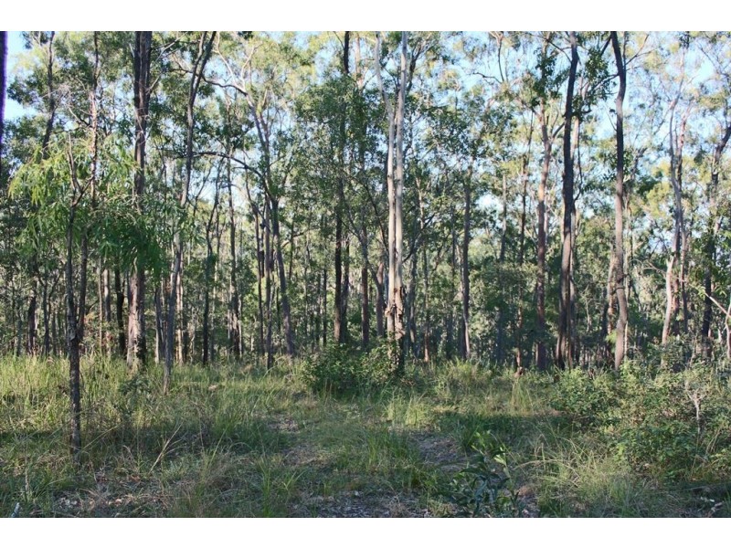 Lot 7/133 Williamson Road, Tamborine QLD 4270