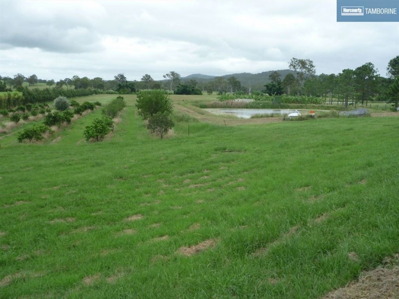 1 Larch Road, Tamborine QLD 4270