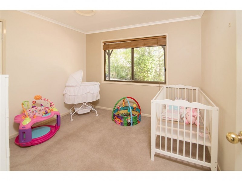 52 Stringybark Road, Tamborine QLD 4270