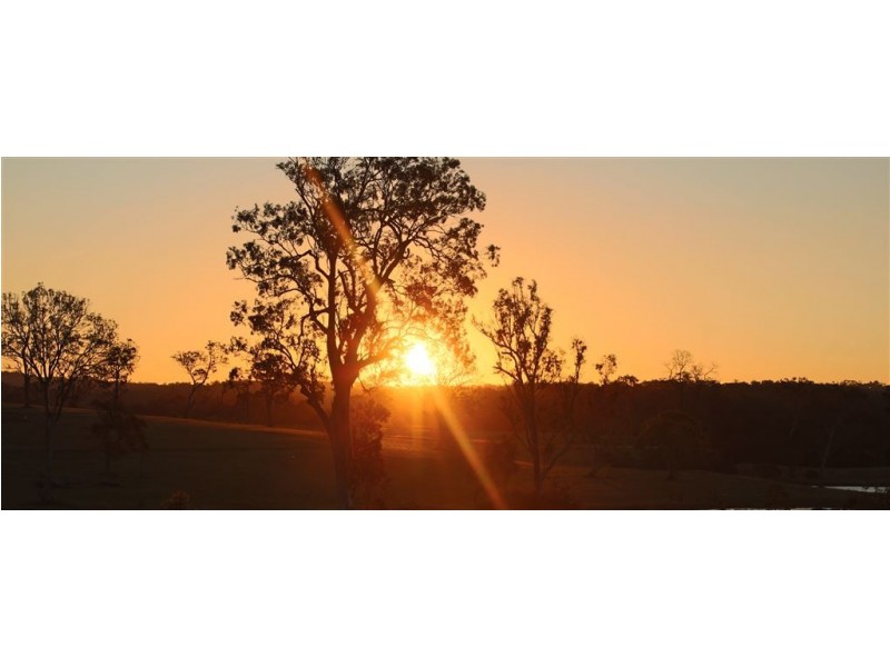 48-54 Martin Place, Tamborine QLD 4270