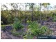 Lot 5/237 Beattie Road, Mundoolun QLD 4285