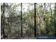 Lot 5/237 Beattie Road, Mundoolun QLD 4285