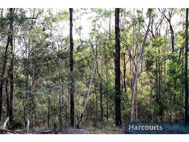 Lot 5/237 Beattie Road, Mundoolun QLD 4285