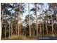 Lot 9/237 Beattie Road, Mundoolun QLD 4285