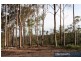 Lot 11/237 Beattie Road, Mundoolun QLD 4285