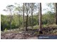 Lot 11/237 Beattie Road, Mundoolun QLD 4285