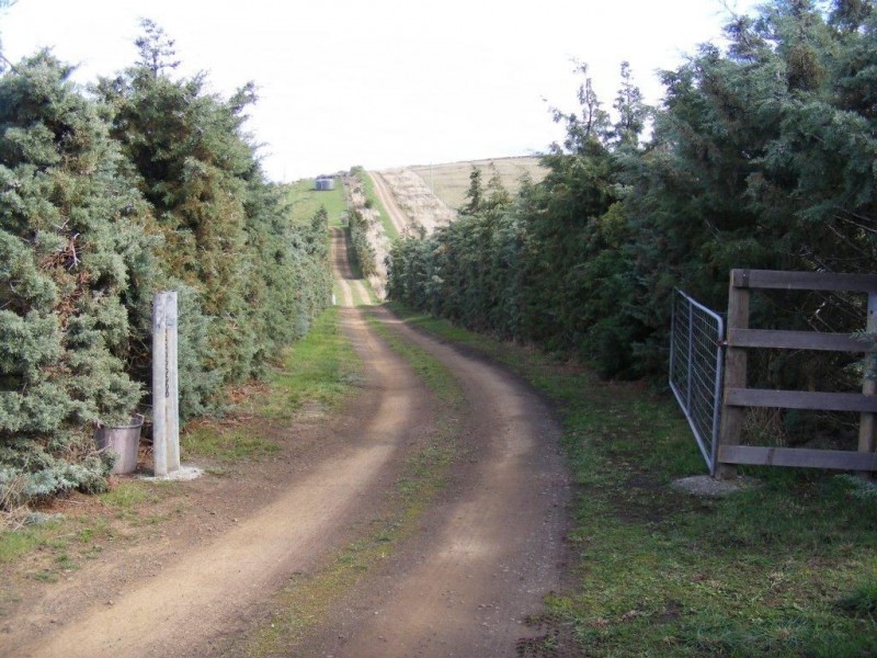 7 Valleyfield Road, Sorell TAS 7172