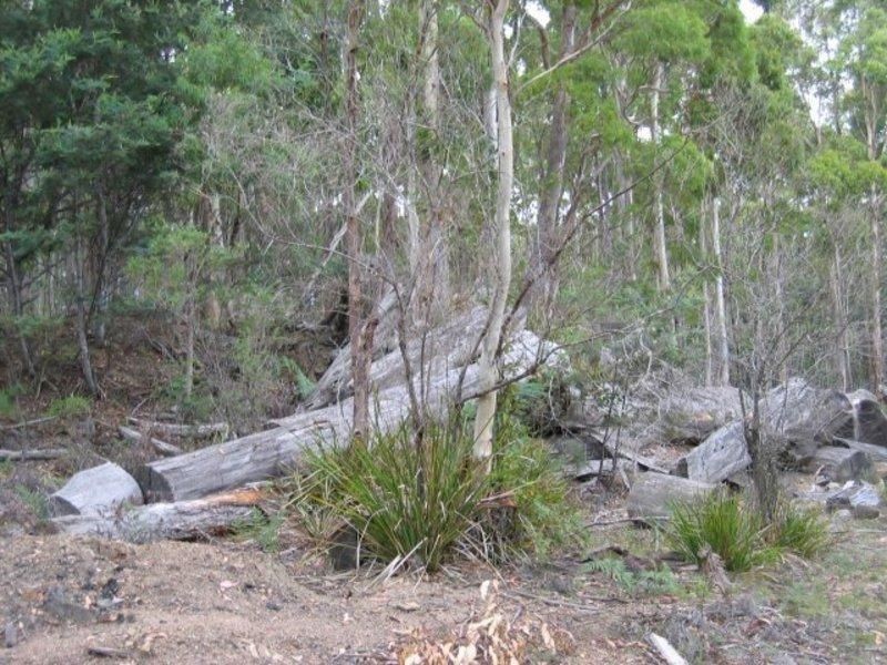 Lot 1 Arthur Highway, Murdunna TAS 7178