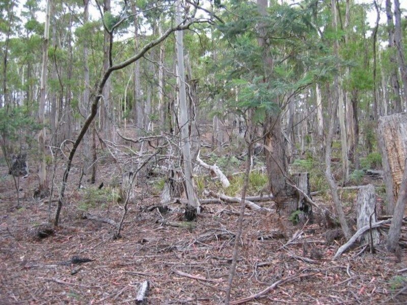Lot 1 Arthur Highway, Murdunna TAS 7178