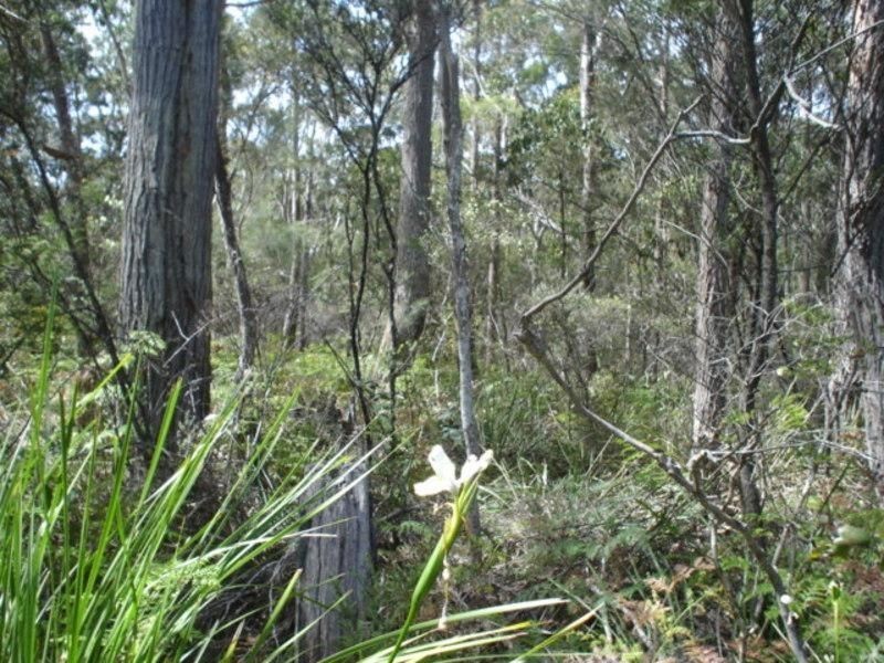 Lot 2 Arthur Highway, Murdunna TAS 7178