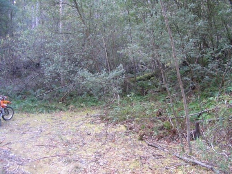 Lot 1 Black Snake Lane, Granton TAS 7030