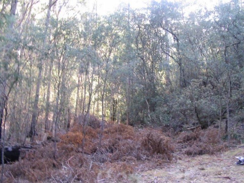 Lot 1 Black Snake Lane, Granton TAS 7030
