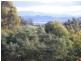 406 Gilling Brook Road, Forcett TAS 7173