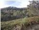 406 Gilling Brook Road, Forcett TAS 7173
