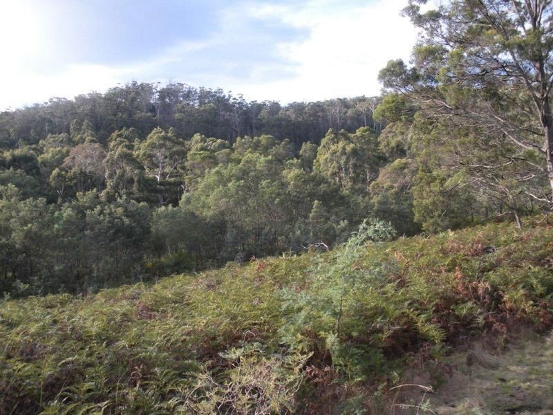 406 Gilling Brook Road, Forcett TAS 7173