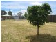 5 Kruvale Court, Primrose Sands TAS 7173