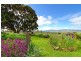 223 Uxbridge Road, Bushy Park TAS 7140