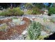 57 Ridge Road, Dodges Ferry TAS 7173