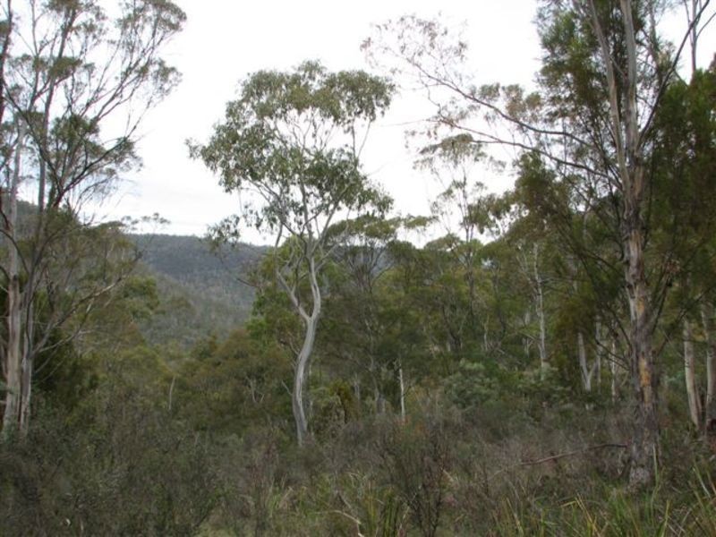 Lot 1 Moogara Road, Moogara TAS 7140