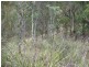 Lot 1 Moogara Road, Moogara TAS 7140