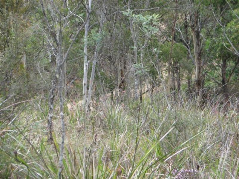 Lot 1 Moogara Road, Moogara TAS 7140