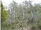 Lot 1 Moogara Road, Moogara TAS 7140