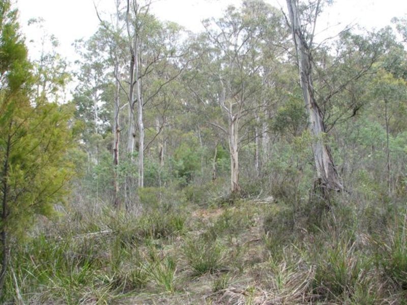 Lot 1 Moogara Road, Moogara TAS 7140