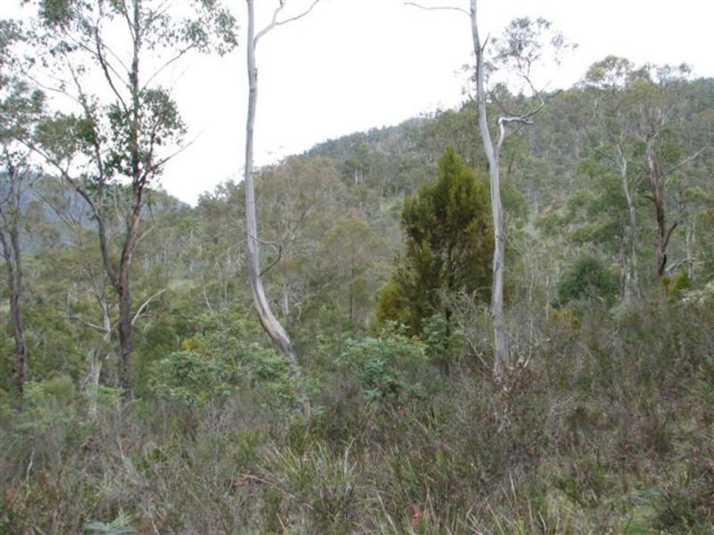 Lot 1 Moogara Road, Moogara TAS 7140