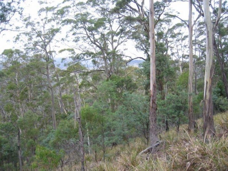 Lot 1 Pawleena Road, Pawleena TAS 7172