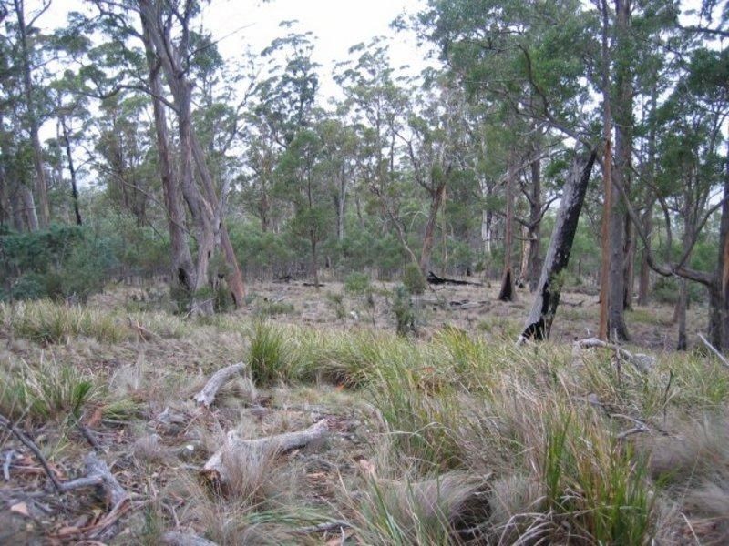 Lot 1 Pawleena Road, Pawleena TAS 7172