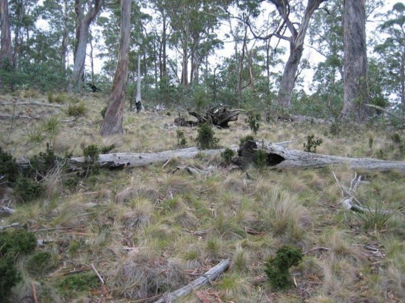 Lot 1 Pawleena Road, Pawleena TAS 7172