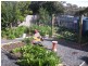 10 Webb Street, Dodges Ferry TAS 7173