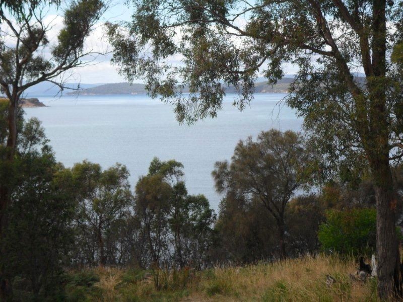 3 Carlton Bluff Road, Primrose Sands TAS 7173