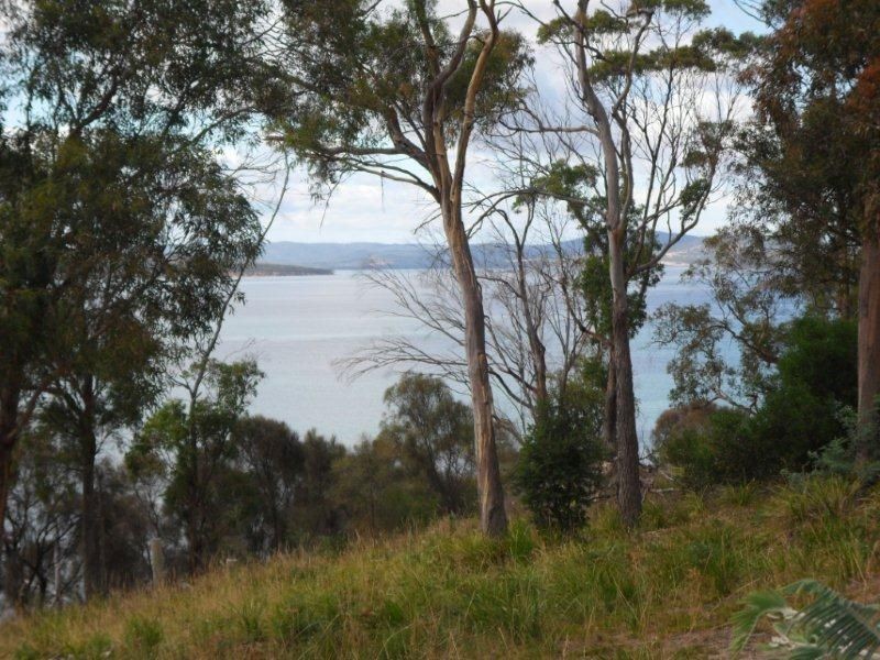 3 Carlton Bluff Road, Primrose Sands TAS 7173