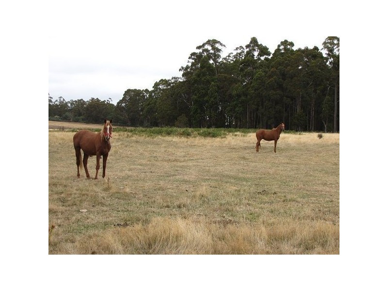 10 Water Reserve Road, Tunnack TAS 7120