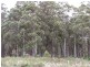 10 Water Reserve Road, Tunnack TAS 7120